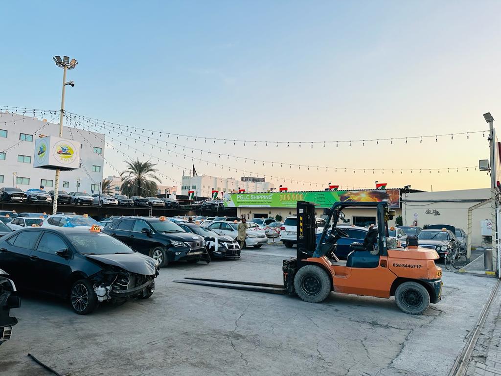 Best auto shipping company